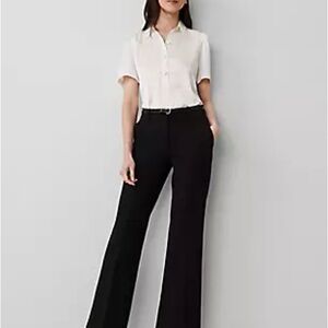 Ann Taylor Trouser - Black - 12 Tall